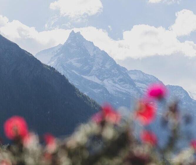 酒店 Hôtel Le Besso   Swiss Romantic Lodge Zinal