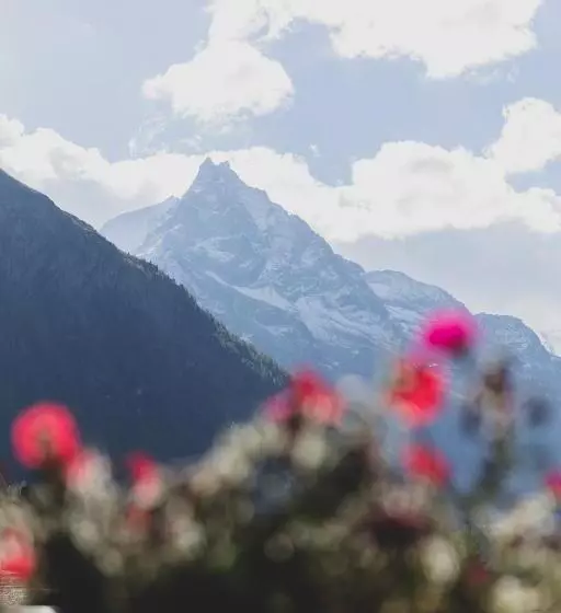Hotelli Hôtel Le Besso   Swiss Romantic Lodge Zinal
