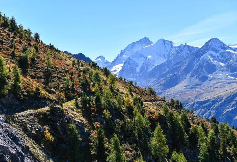 酒店 Hôtel Le Besso   Swiss Romantic Lodge Zinal