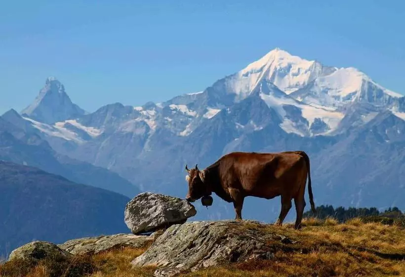 ホテル Jungfrau