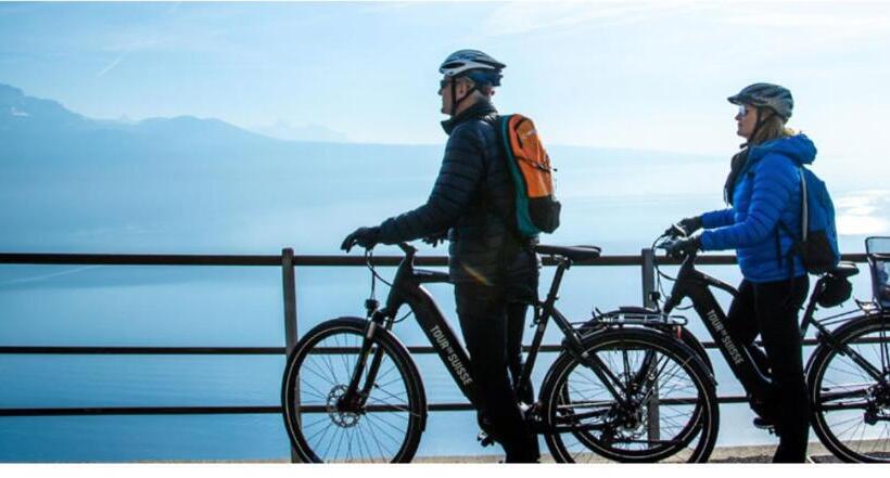 هتل Les Negociants