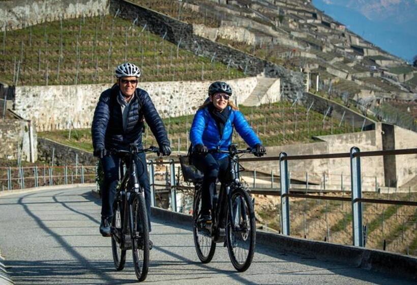 هتل Les Negociants