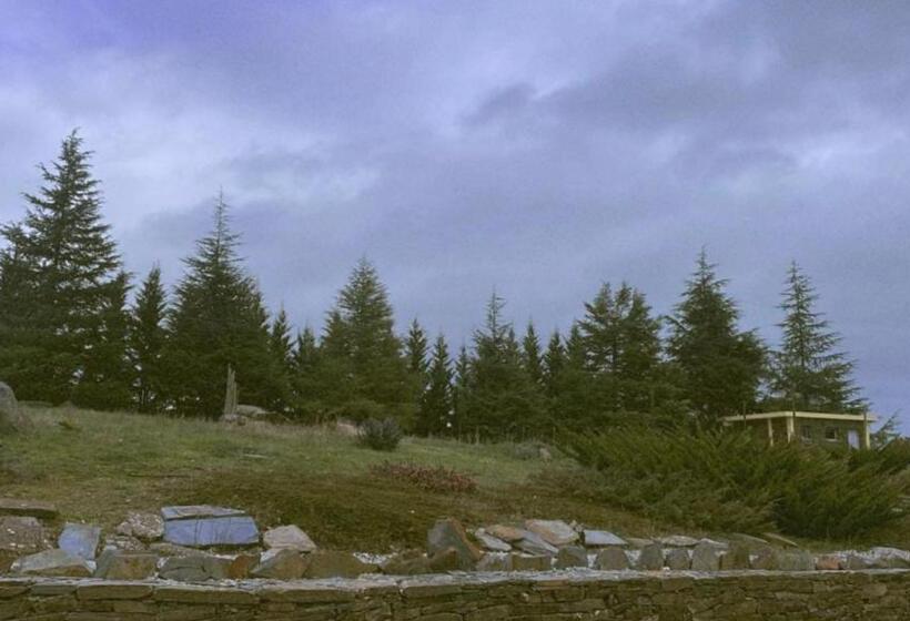 Quinta Do Salgueiro B&b   Turismo Rural