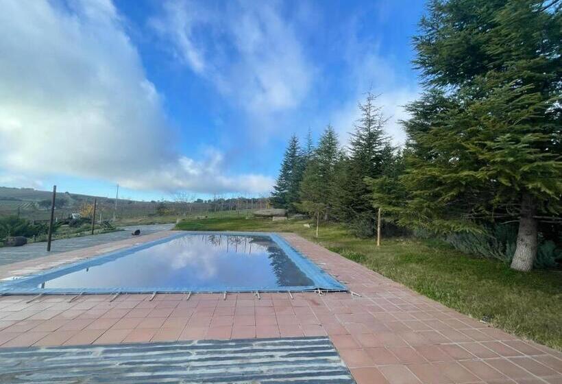 Quinta Do Salgueiro B&b   Turismo Rural