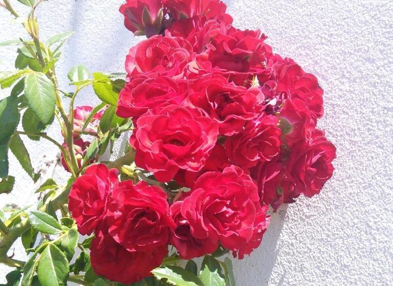 דירת נופש Herdade Do Azinhal