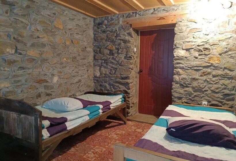 هاستل Pamir Lodge