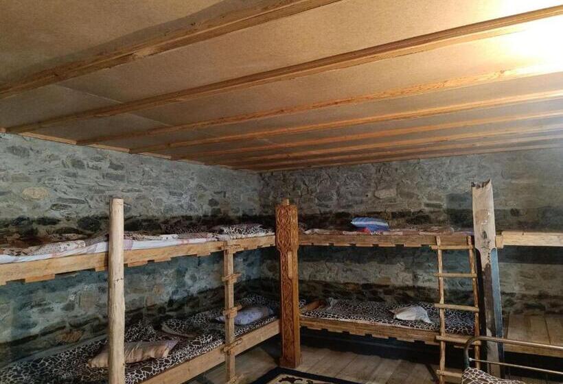 هاستل Pamir Lodge