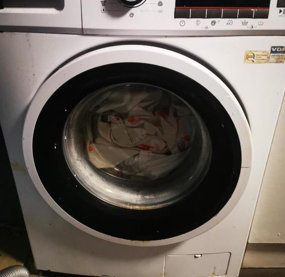 پانسیون Pasja Grofica