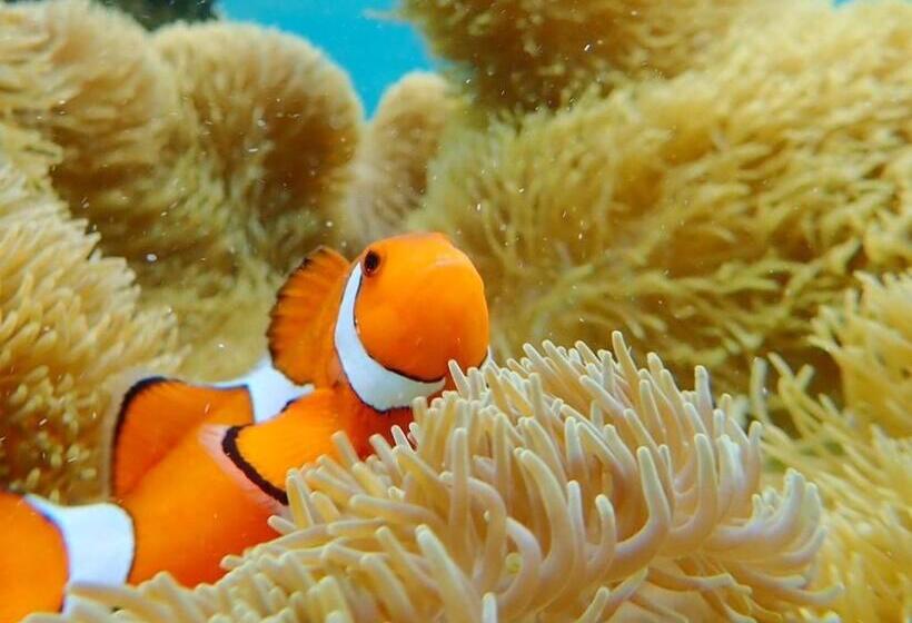 与那国島ホテル むんぶステイ 比川浜