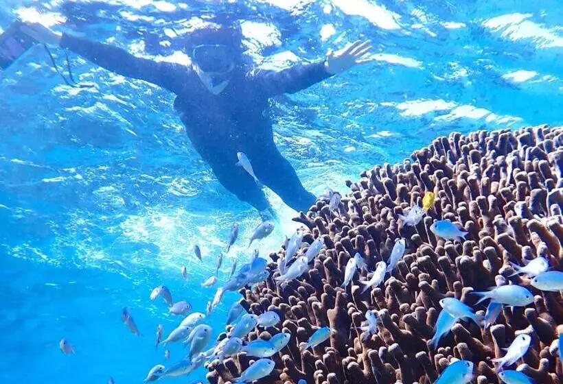 与那国島ホテル むんぶステイ 比川浜