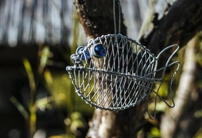 Agapanthus Bed And Breakfast