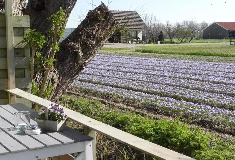 Appels En Peren Bed And Breakfast