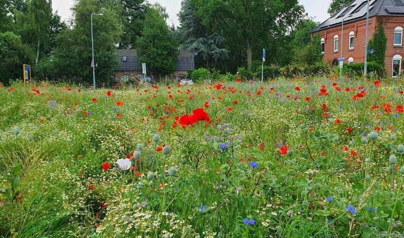 Art, Bed & Breakfast