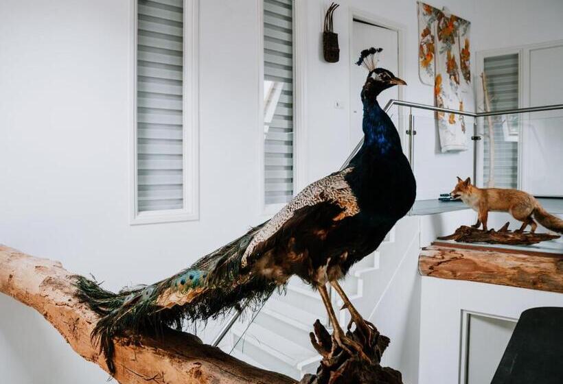 Bed and Breakfast De Vijf Suites