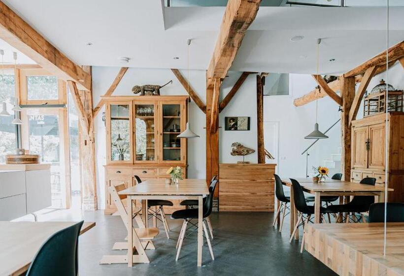 Bed and Breakfast De Vijf Suites