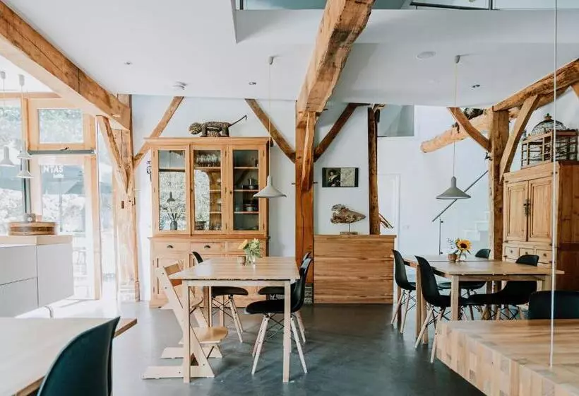 ベッドアンドブレックファースト De Vijf Suites