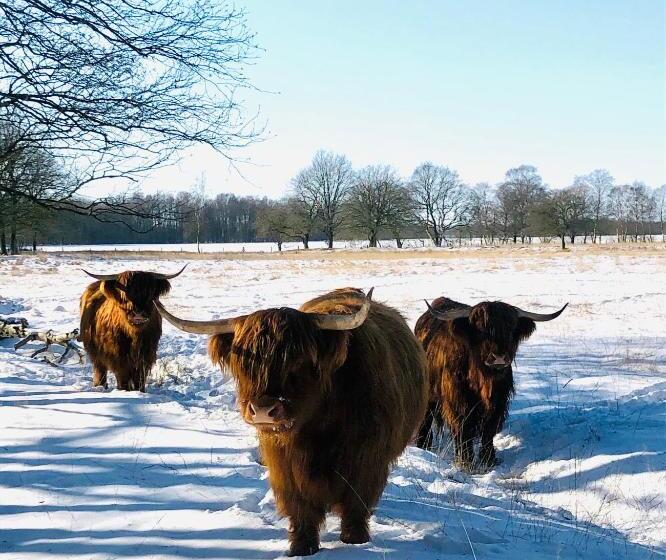 Bed and Breakfast De Vijf Suites