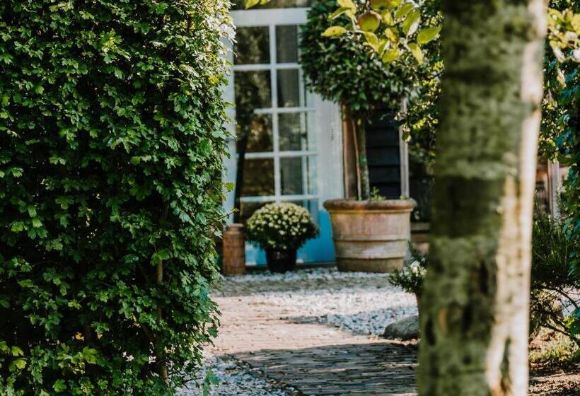 Bed and Breakfast De Vijf Suites