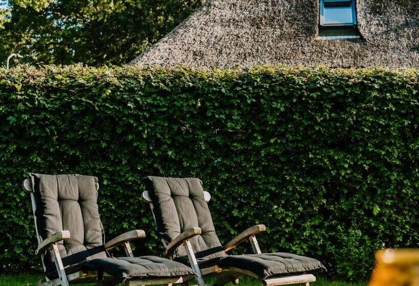 Bed and Breakfast De Vijf Suites