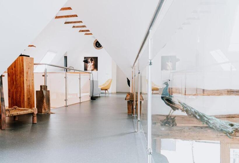 Bed and Breakfast De Vijf Suites