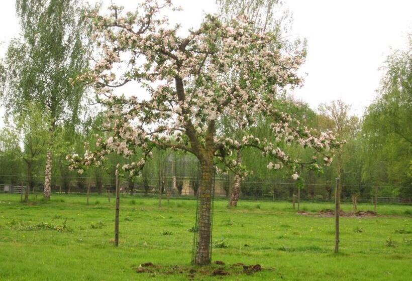 Bed And Breakfast Klein Groenbergen