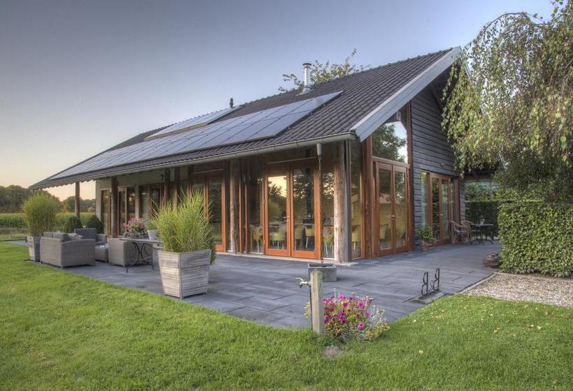 Bed & Breakfast De Wandhorst