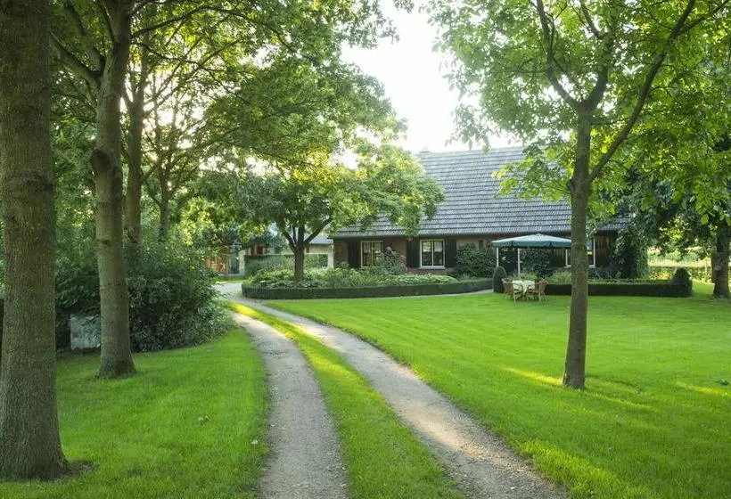 Bed & Breakfast De Wandhorst
