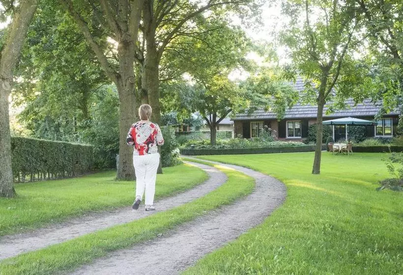 Bed & Breakfast De Wandhorst