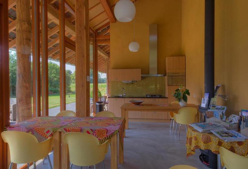 Bed & Breakfast De Wandhorst