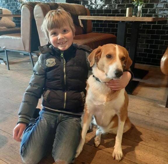 בית מלון כפרי Hector Zierikzee