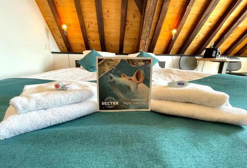 בית מלון כפרי Hector Zierikzee