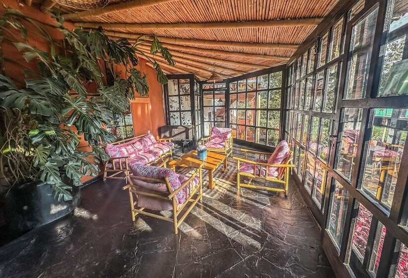 هتل Art House Hacienda San Antonio