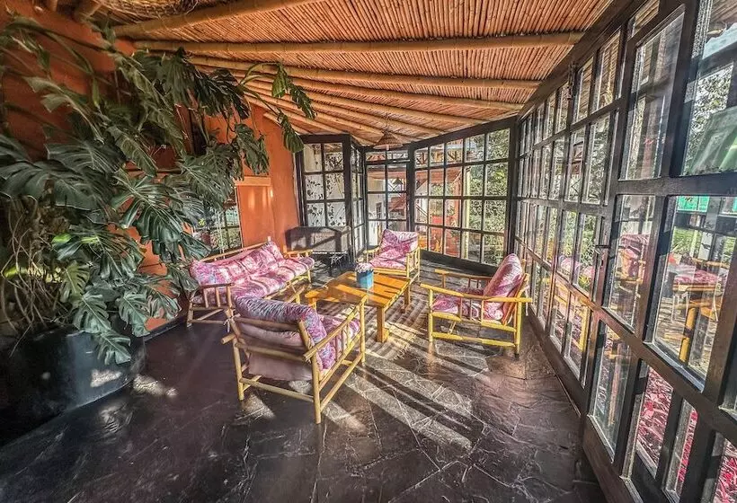 هتل Art House Hacienda San Antonio