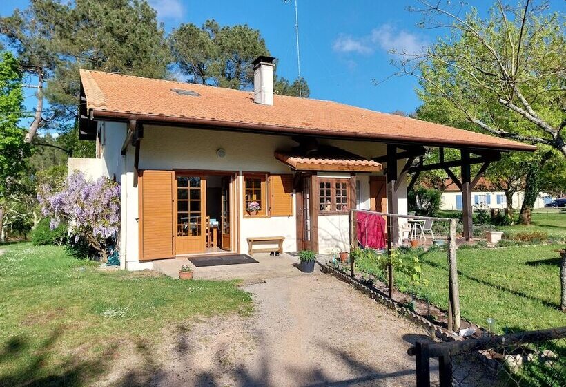 تختخواب و صبحانه Chambres D Hôtes De Franc