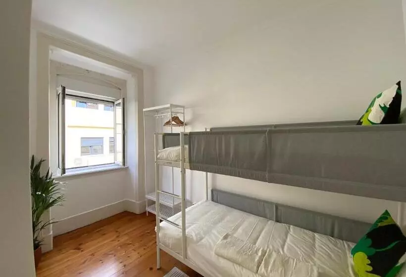 هاستل Terrace House