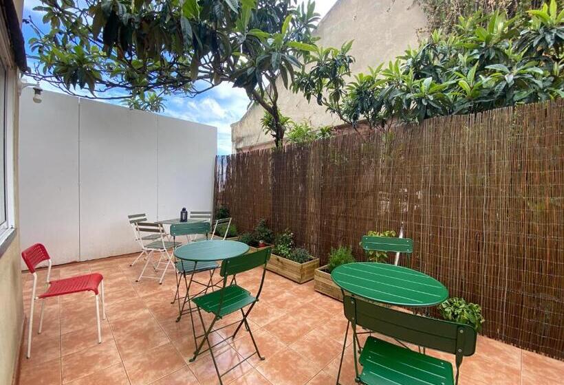 هاستل Terrace House