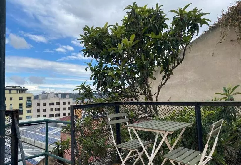 هاستل Terrace House