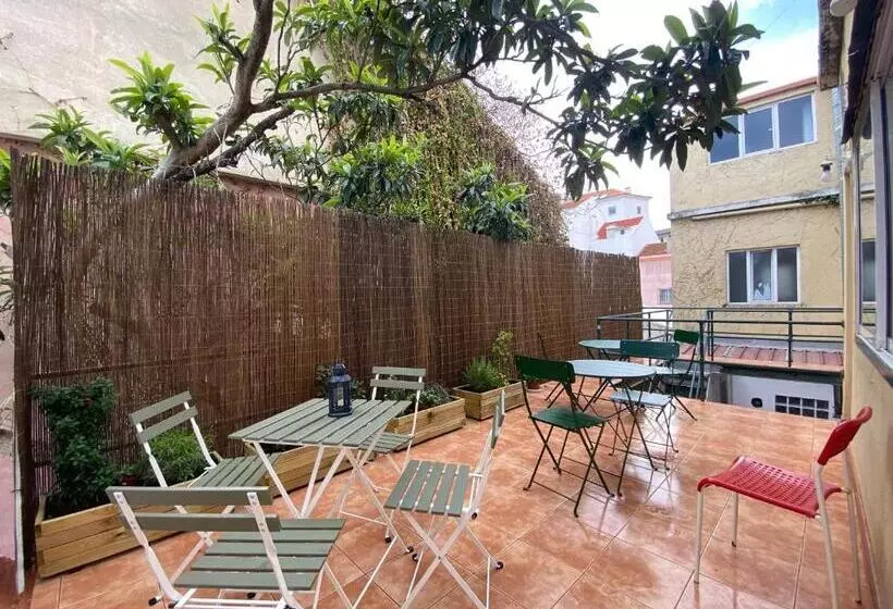 هاستل Terrace House