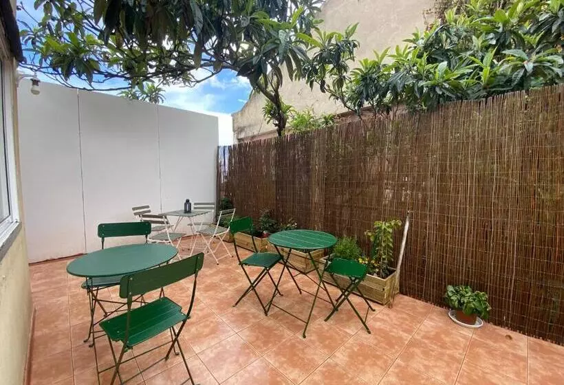 هاستل Terrace House