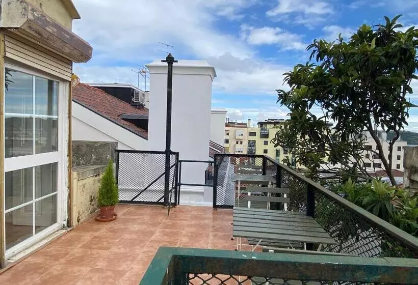 هاستل Terrace House