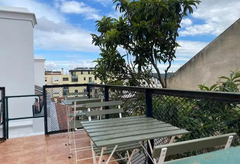 هاستل Terrace House