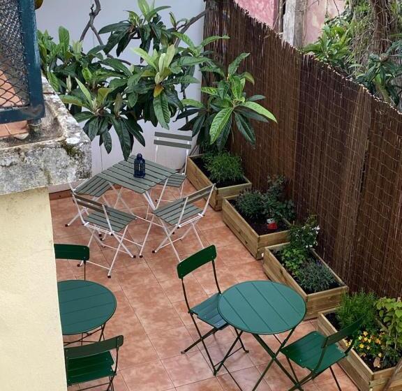 هاستل Terrace House