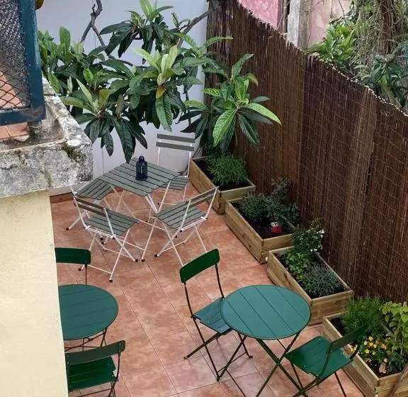 هاستل Terrace House