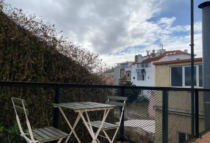 هاستل Terrace House