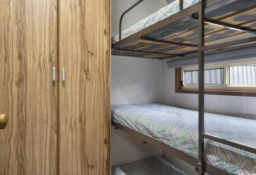 ホテル Paradise Palms Caravan Park