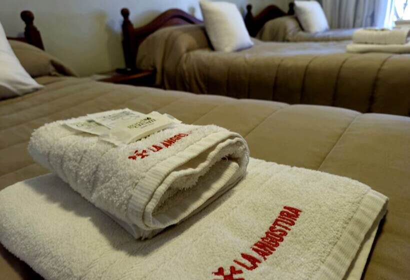 Отель Hostería La Angostura