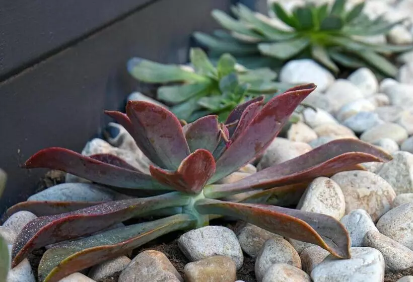 Majatalo Velddrif Riverside Guesthouse