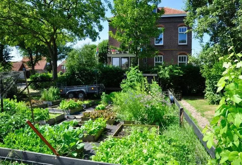 B&b De Postoari Terschelling