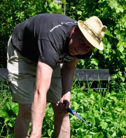 B&b De Postoari Terschelling