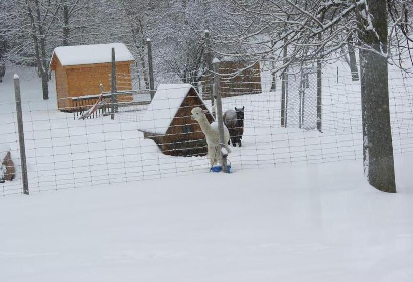 צימר Liftlock Guest House